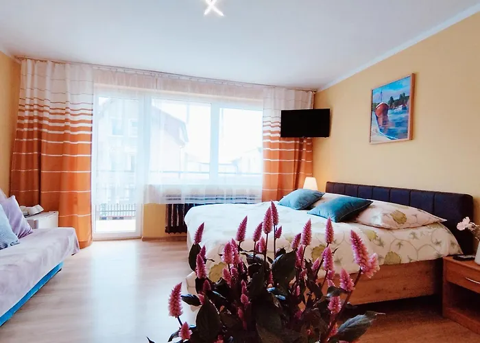 Al-ba 招待所 莱鲍